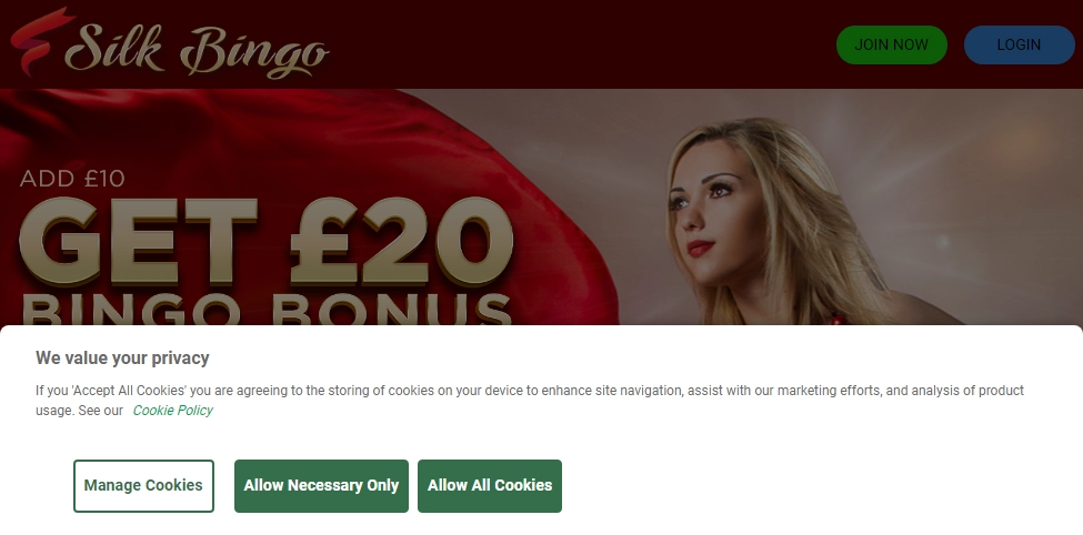 Silk Bingo Casino